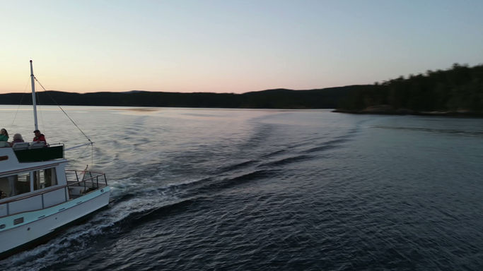 player_export_Render